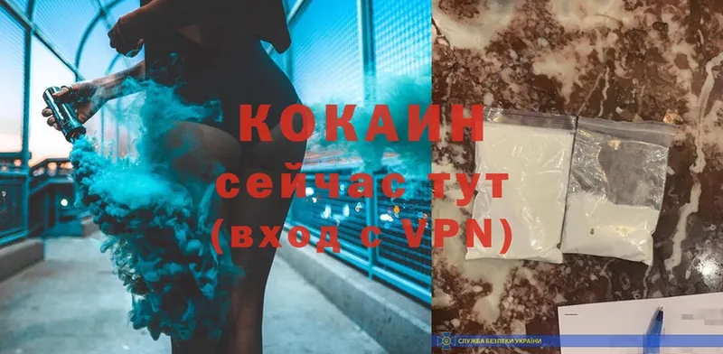 где продают наркотики  Богородск  COCAIN FishScale 